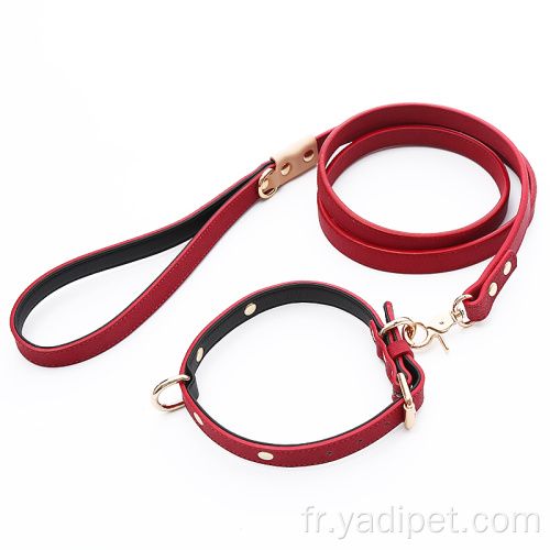 Colliers pour chiots doux et ajustables pour chiens avec boucle en métal